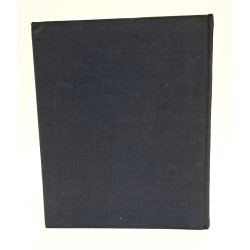 La guerra italiana nell'anno XIX 2