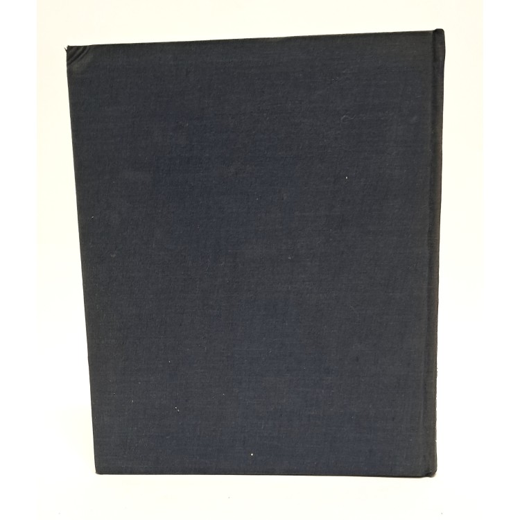 La guerra italiana nell'anno XIX