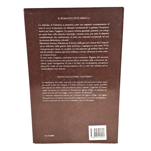 Il romanzo di flamenca