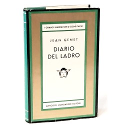 Diario di un ladro