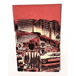 Il ragazzo della città 2