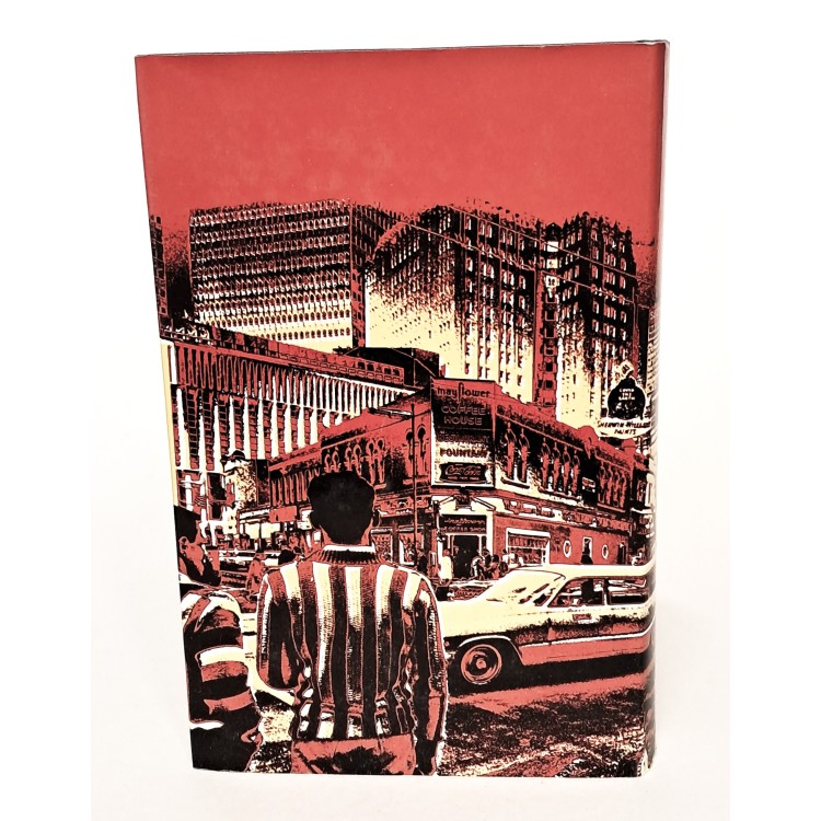 Il ragazzo della città