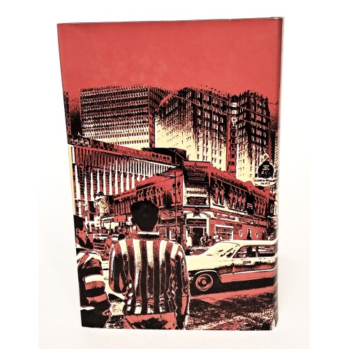 Il ragazzo della città