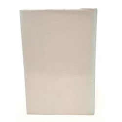 L'irregolare. Chanel, la vita di una donna posseduta dalla sua leggenda 2