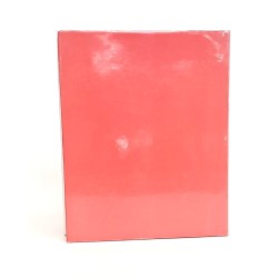 Italiani sulle montagne del mondo 2