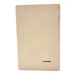 Il romanzo satirico 2