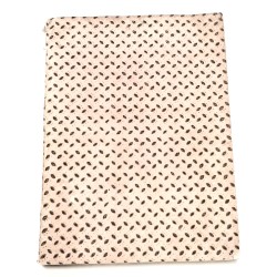 Vita della beata Maria Vittoria Fornari Strata fondatrice dell'Ordine della Santissima