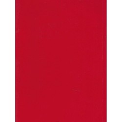 Giambattista Tiepolo il segno e l'enigma 2