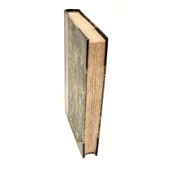 Il paradiso perduto riportato in versi italiani 2