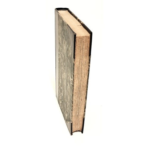 Il paradiso perduto riportato in versi italiani