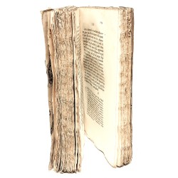 Storia dell'amore cavata dalle divine scritture 2