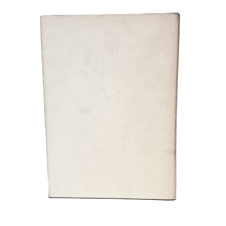 Le montagne dolomitiche. Escursioni attraverso il Tirolo, la Carinzia, la Carniola e il Friuli