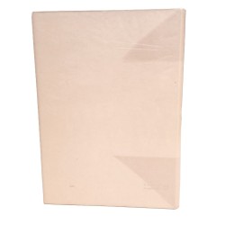 Rapporto a San Pietro 2