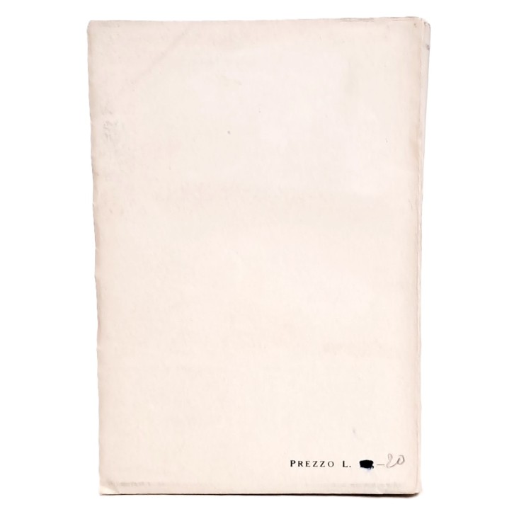 Nelle galere (l'uomo e la legge). Viaggi penitenziari