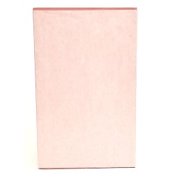 Carmina priapea. I versi di Priapo 2