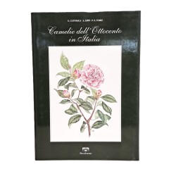 Camelie dell'Ottocento in Italia