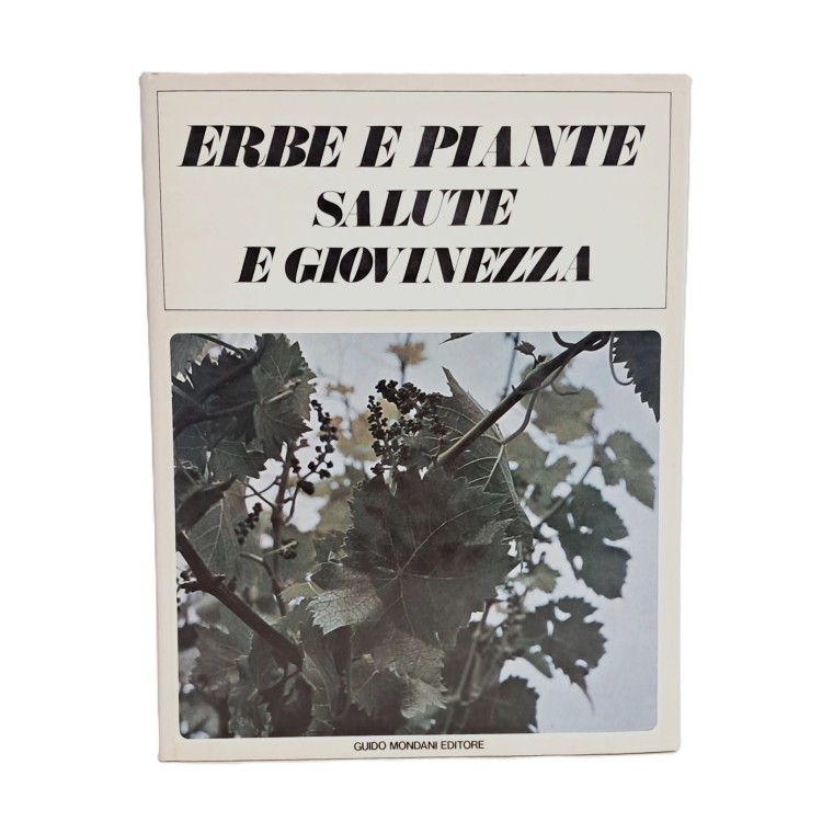 Erbe e piante salute e giovinezza