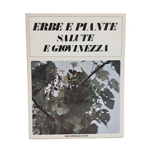 Erbe e piante salute e giovinezza