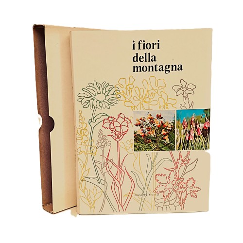 I fiori della montagna