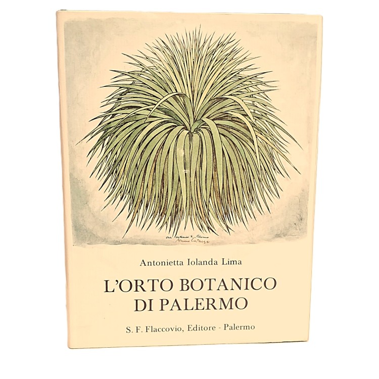 L'orto botanico di Palermo