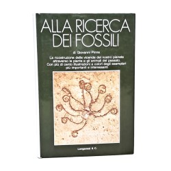 Alla ricerca dei fossili