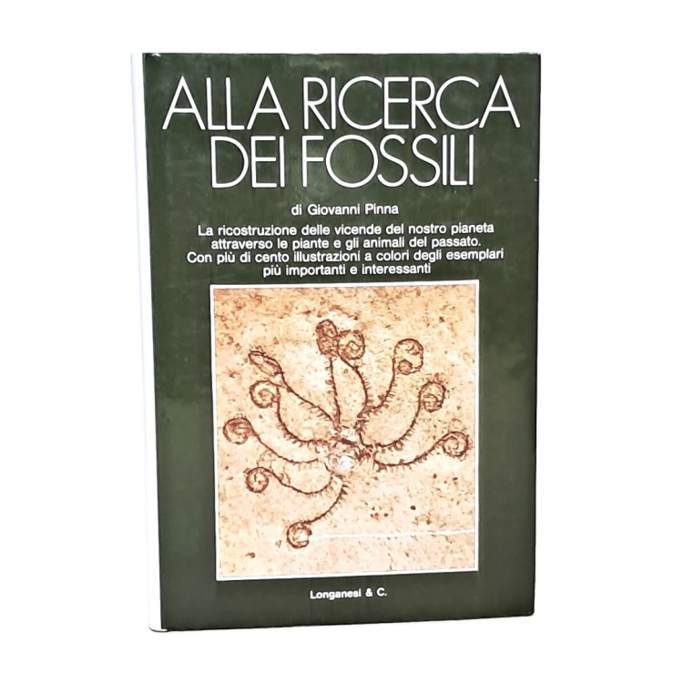 Alla ricerca dei fossili