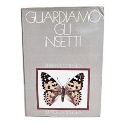 Guardiamo gli insetti