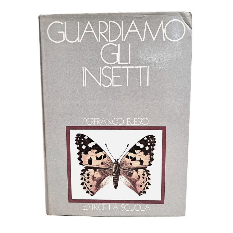 Guardiamo gli insetti