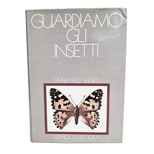 Guardiamo gli insetti