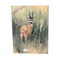 Il patrimonio capriolo 2