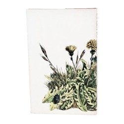 L'insetto. Il mondo degli insetti raccontato da un grande storico 2