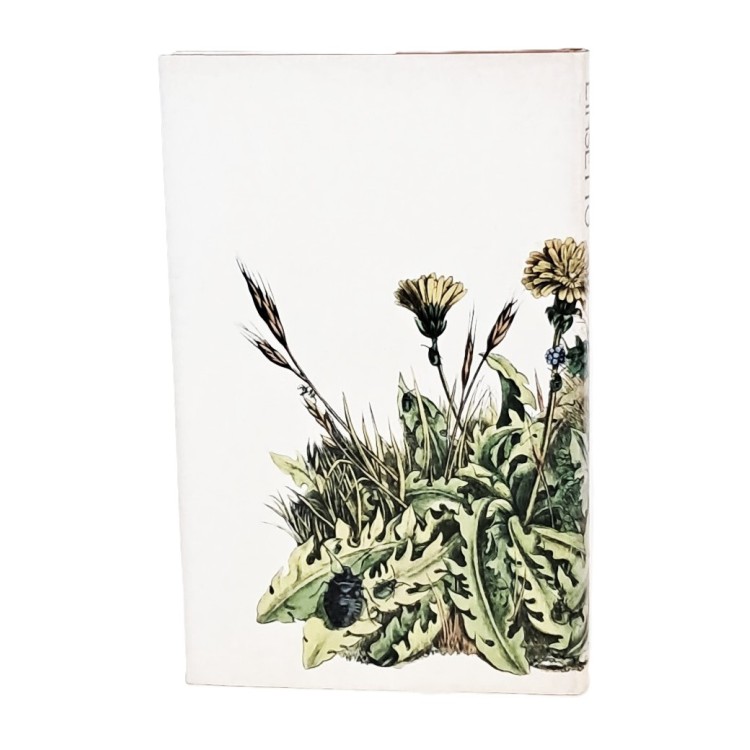 L'insetto. Il mondo degli insetti raccontato da un grande storico