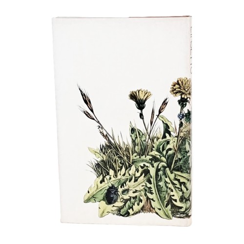 L'insetto. Il mondo degli insetti raccontato da un grande storico