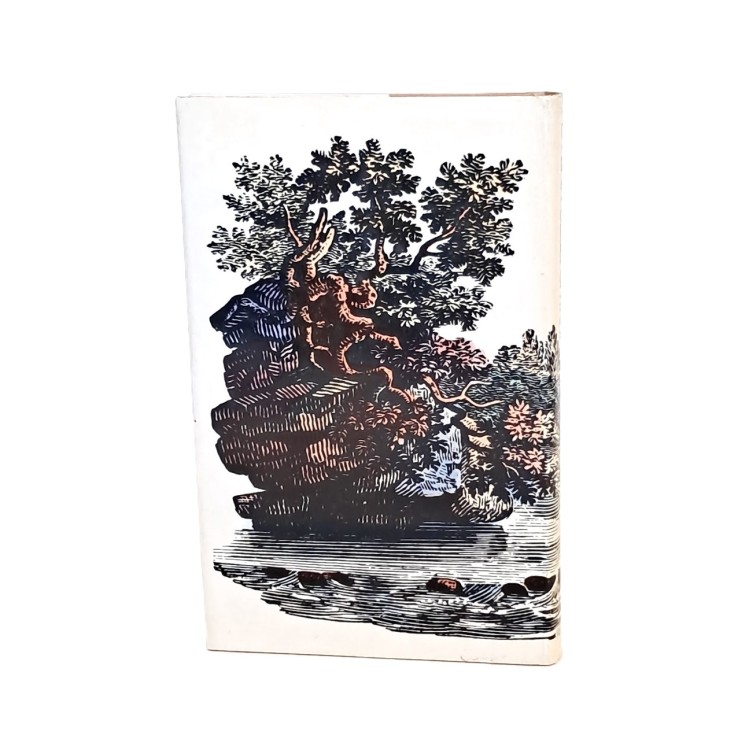 La baia degli ontani