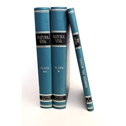 Natura viva I-II flora e giardini 2