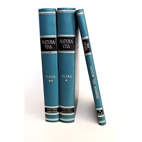 Natura viva I-II flora e giardini