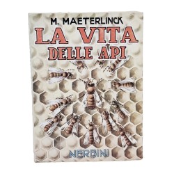 La vita delle api