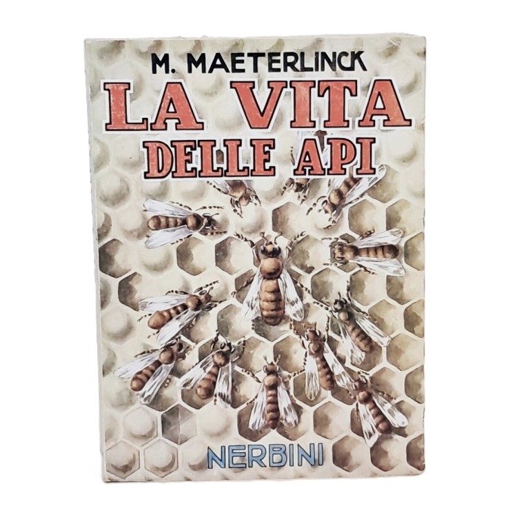 La vita delle api