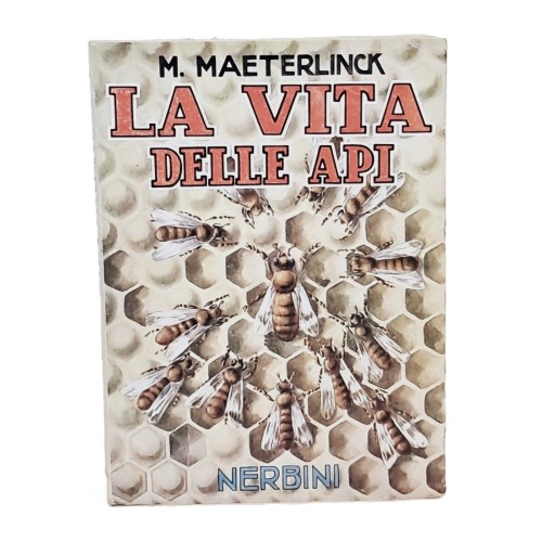 La vita delle api