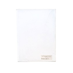 La vita delle termiti 2