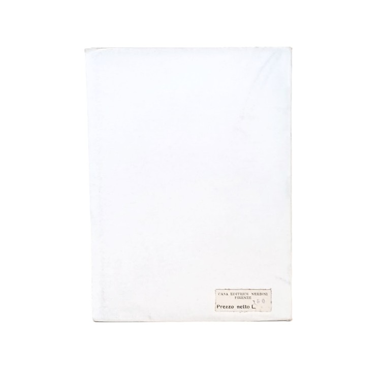 La vita delle termiti