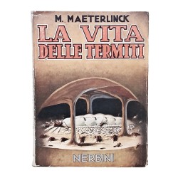 La vita delle termiti