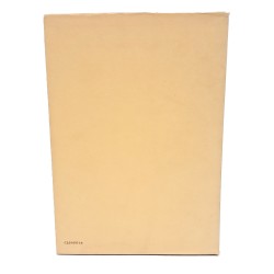 Psicoterapia di consultazione. Nuove idee nella pratica clinica e sociale 2