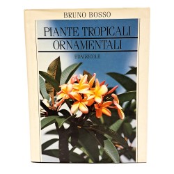 Piante tropicali ornamentali