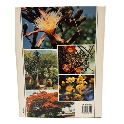 Piante tropicali ornamentali 2