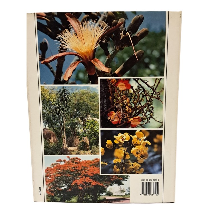 Piante tropicali ornamentali