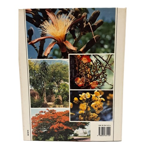 Piante tropicali ornamentali