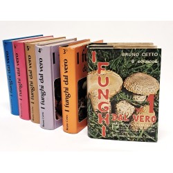 I funghi dal vero I-VII