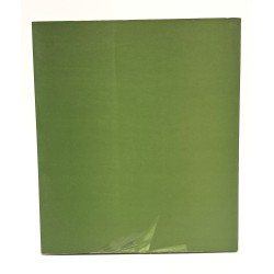 Il segno come sensazione e trasparenza: monografia sul pittore Carlo Treu 2