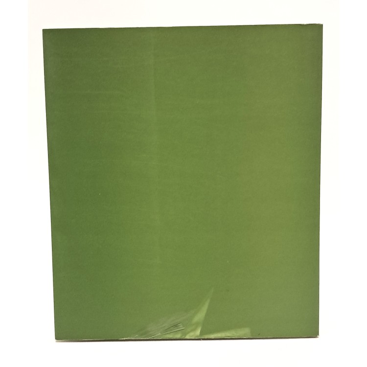 Il segno come sensazione e trasparenza: monografia sul pittore Carlo Treu